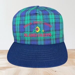 Vintage Rare Plaid Bland Farms Vidalia Sweet Onions Snapback Hat Cap Made in USA